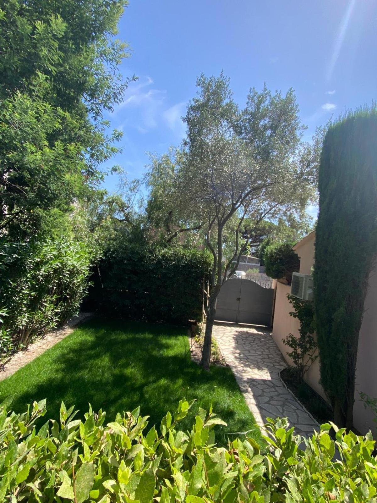 Hebe La Villa Cogolin Dış mekan fotoğraf